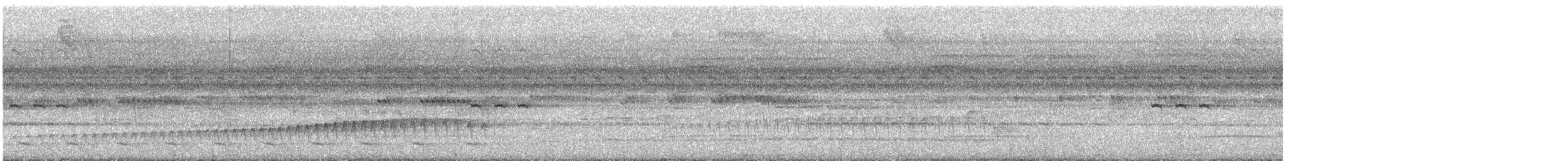 Trepatroncos Loco - ML647609548