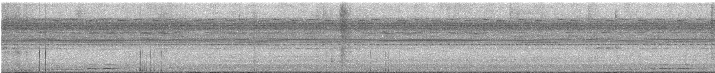 Autillo Chóliba - ML647609630