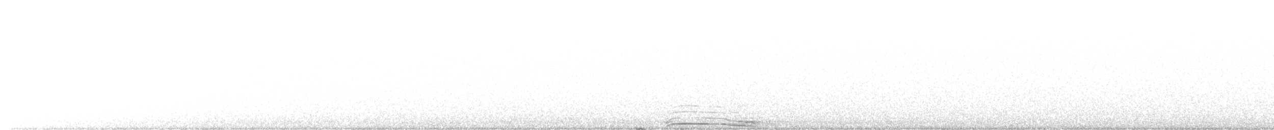 Cárabo Norteamericano - ML647609925