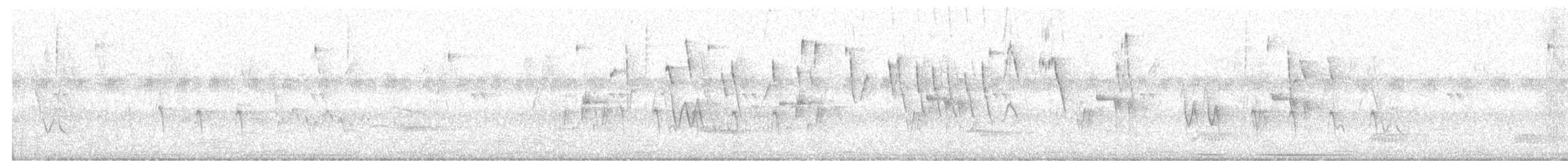 Chirigüe Azafranado - ML647610415