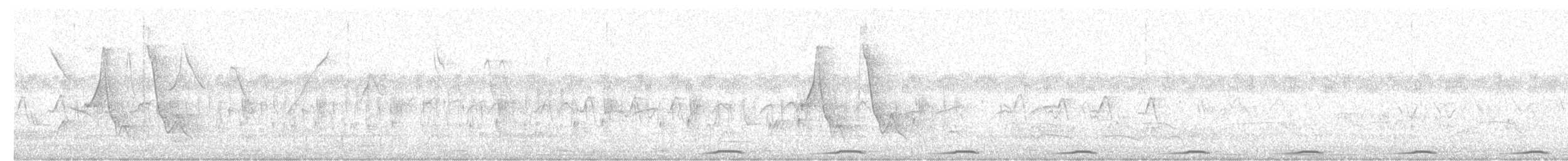 Columbina Picuí - ML647610509