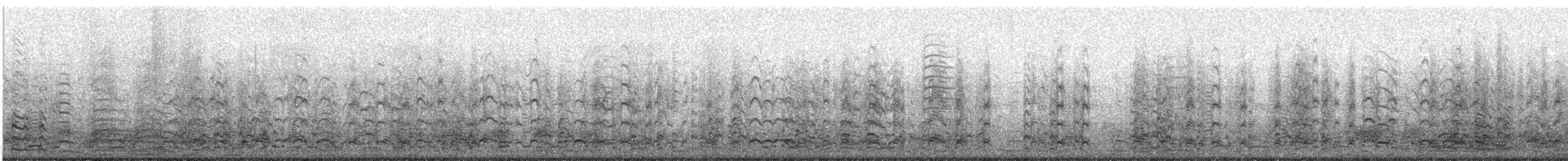 Ánsar Careto - ML647610540