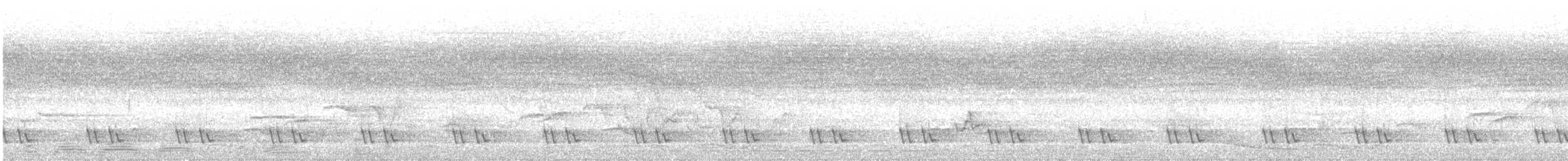 Barbudo Orejiazul - ML647611104