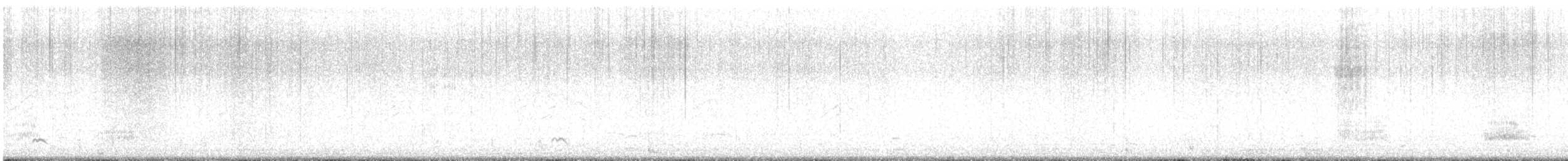 Northern Pintail - ML647611202