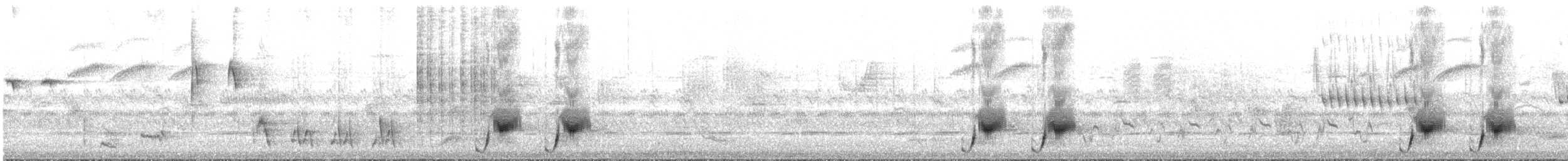 Траурный бубу - ML647611359