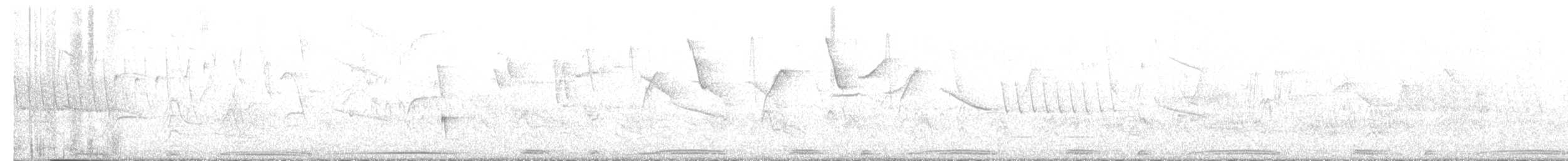 holub skvrnokřídlý - ML647611772