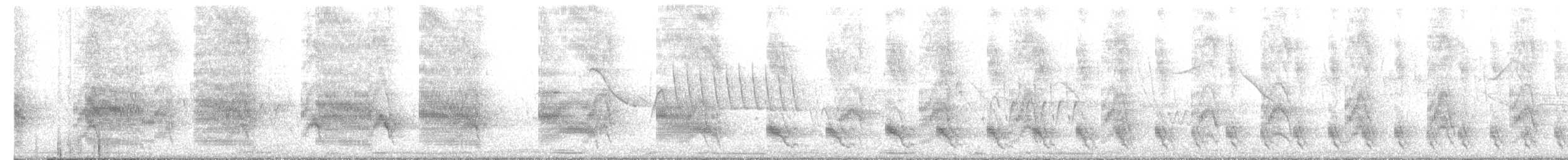 Braunhaubenläufer - ML647611875