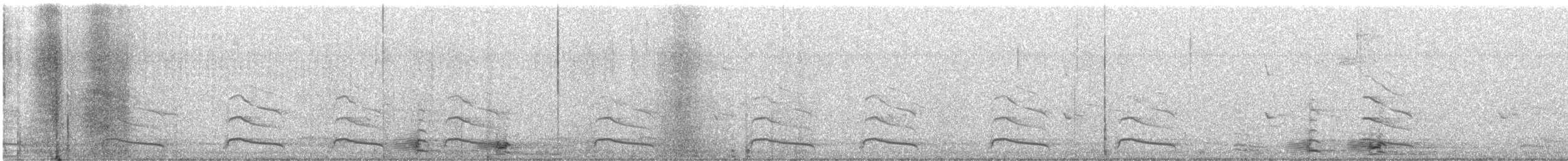 racek americký - ML647612213