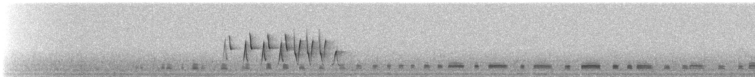 Sterntaucher - ML647612538