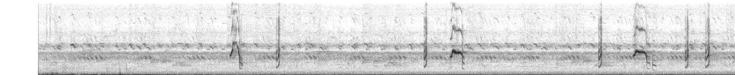 drongo africký - ML647612552