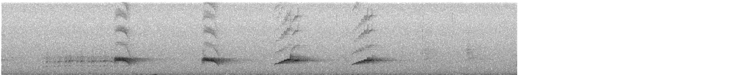 Brown-crested Flycatcher (Arizona) - ML647612611