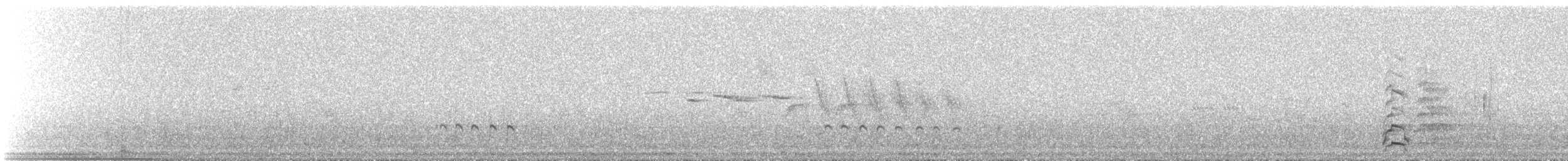 koliha hudsonská - ML647612618