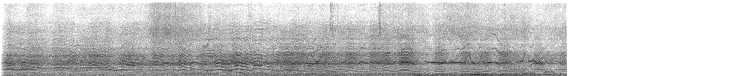 King Penguin - ML647612832