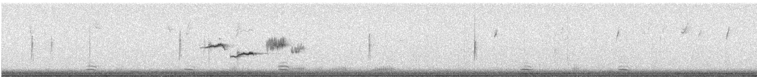 Chingolo Coroniblanco - ML647613109