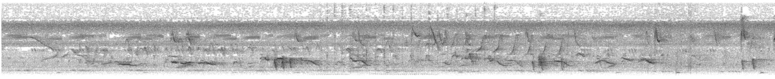 Hint Ardıcı - ML647613737