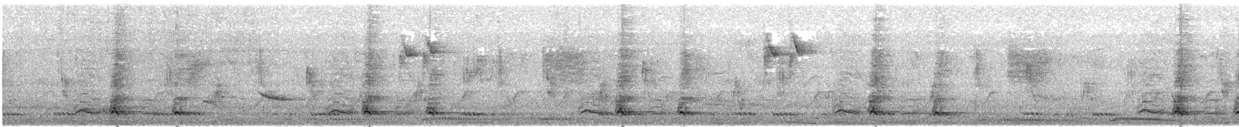 Benekli Yaban Tavuğu - ML647613970