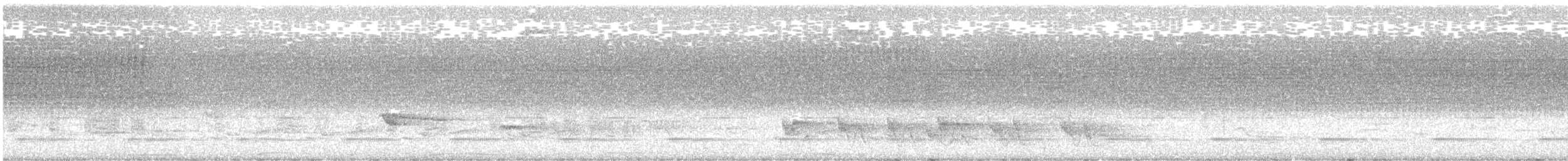 Çıplak Boğazlı Çankuşu - ML647614141