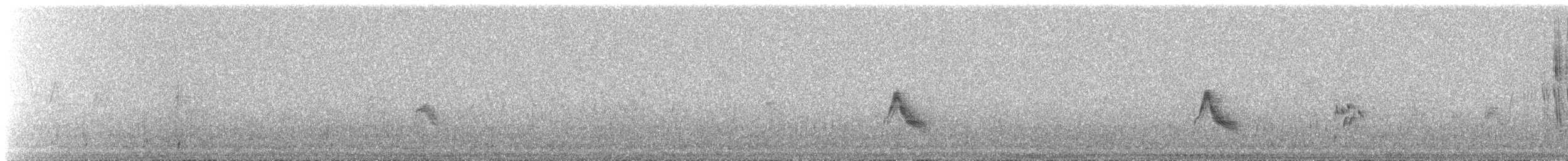 Gri Yanaklı Bülbül Ardıcı - ML647614144