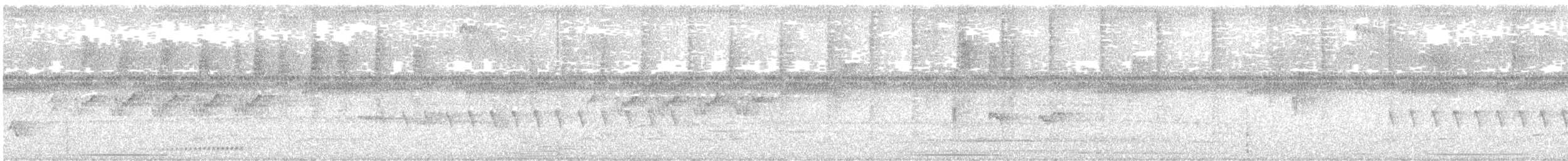 Ak Gerdanlı Tapakola - ML647614252