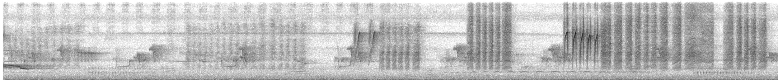 Akça Büyük Baştankara [cinereus grubu] - ML647614776