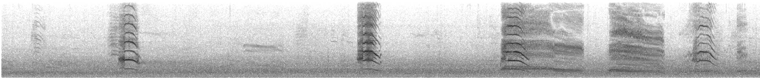 Karabaş Martı - ML647614784