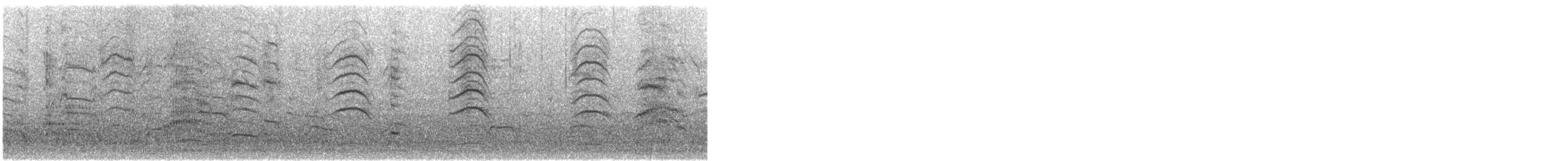 Karabaş Martı - ML647614812