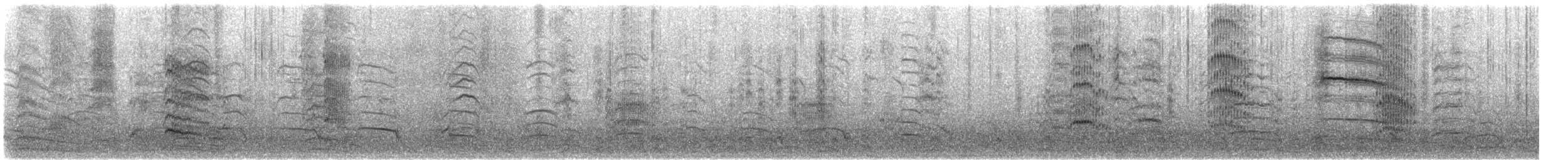 Karabaş Martı - ML647614813