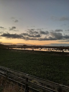 Willow Tree Fen LWT NR, Lincolnshire, England, United Kingdom - eBird ...