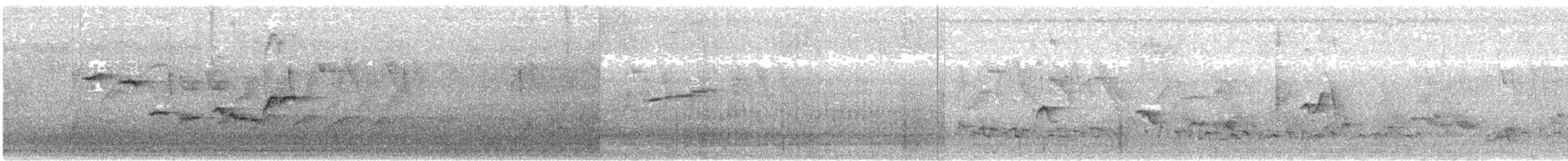 tanımsız Aves sp. - ML647615056