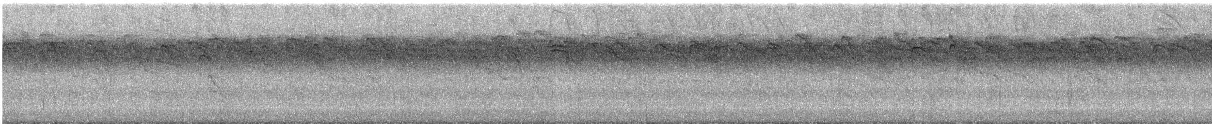 Cook Ebabili - ML647615400