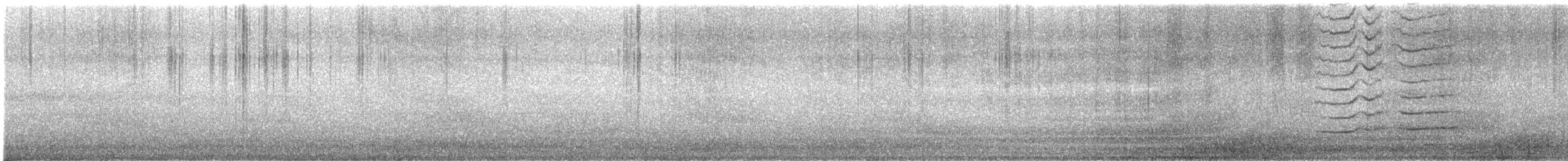 Омелюх звичайний - ML647615401