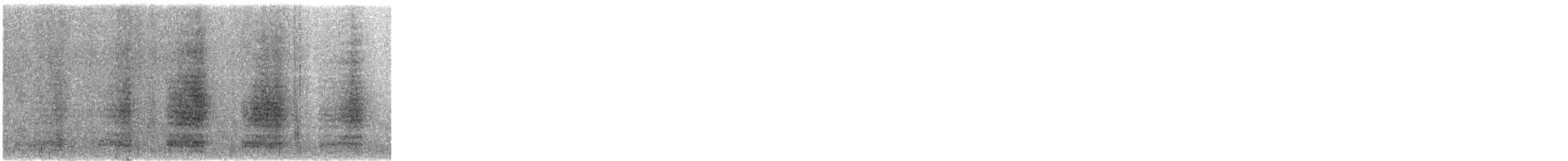 Egyptian Goose - ML647615729