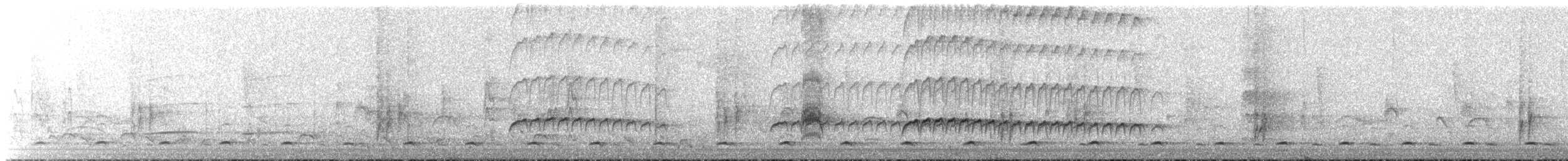 Salvadoran Flycatcher - ML647615770