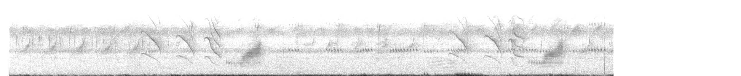 Rattling Cisticola - ML647616516