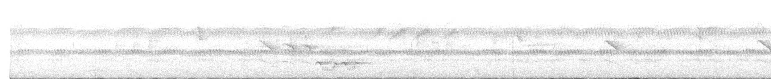 Rattling Cisticola - ML647616517