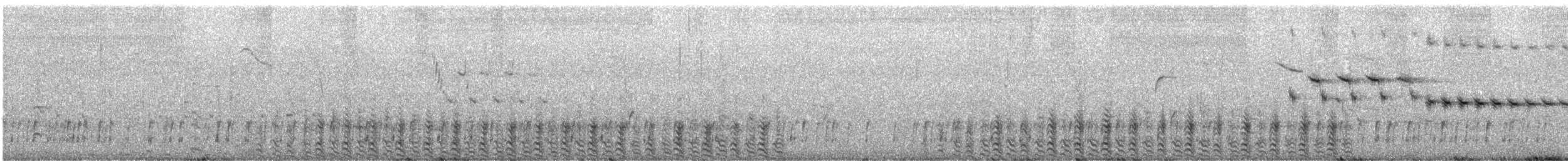 Pied-billed Grebe - ML647617705