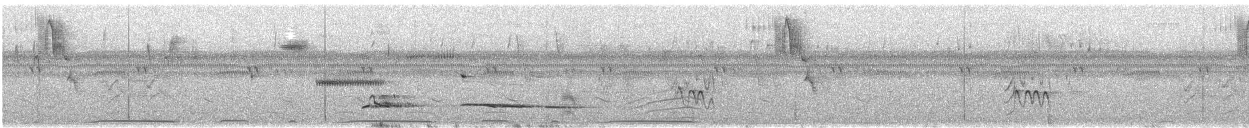 Red-winged Tinamou - ML647617738