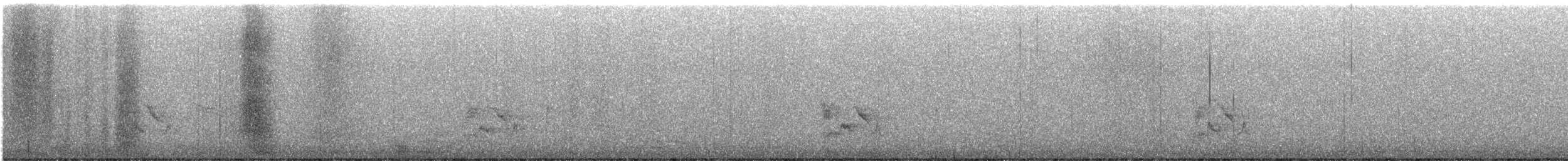 passerine sp. - ML647617744