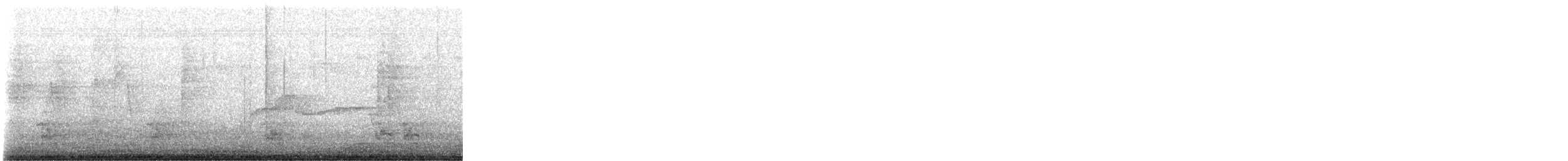 Eastern Wood-Pewee - ML647618868