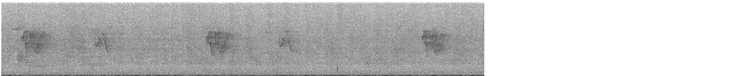 Txio kaukasoarra - ML647619029