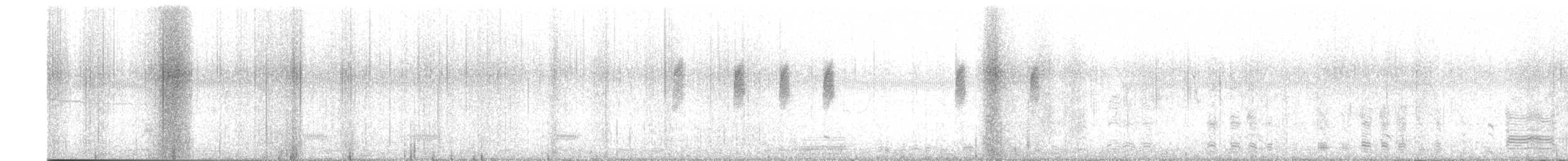 Oie cendrée - ML647620607