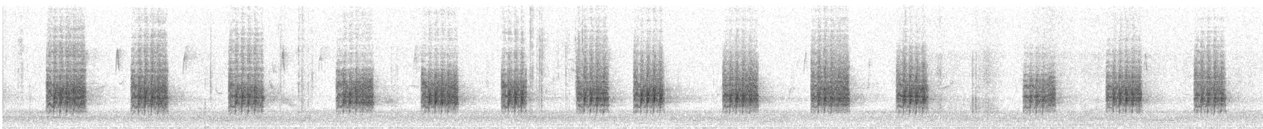 Длиннохвостый крапивник [группа mexicanus] - ML647620982