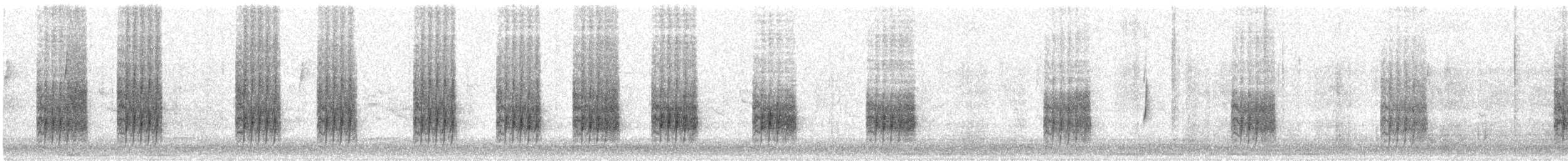 Длиннохвостый крапивник [группа mexicanus] - ML647621013