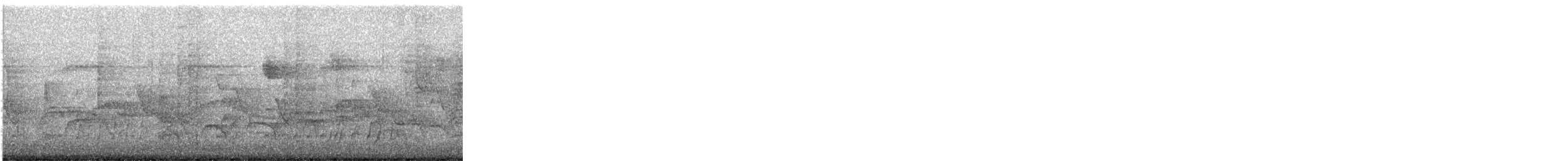 Swainson's Thrush - ML647622753