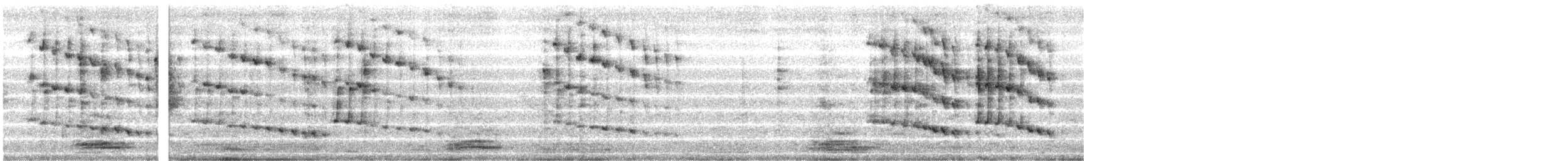 Rufous-booted Racket-tail - ML647623049