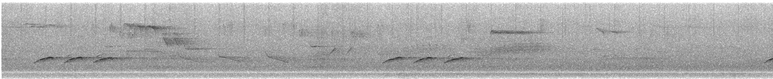 brhlík lesní - ML647623631