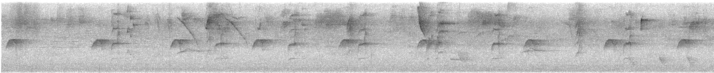 Rough-legged Tyrannulet - ML647624194