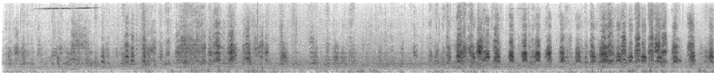 racek chechtavý - ML647624201