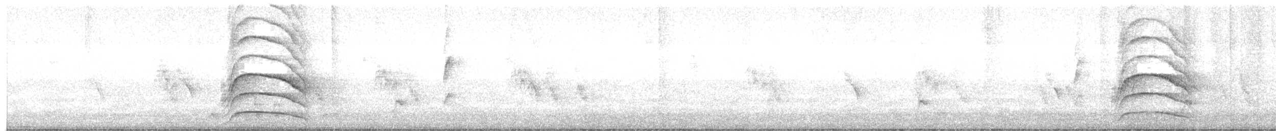 vrabec domácí - ML647624544