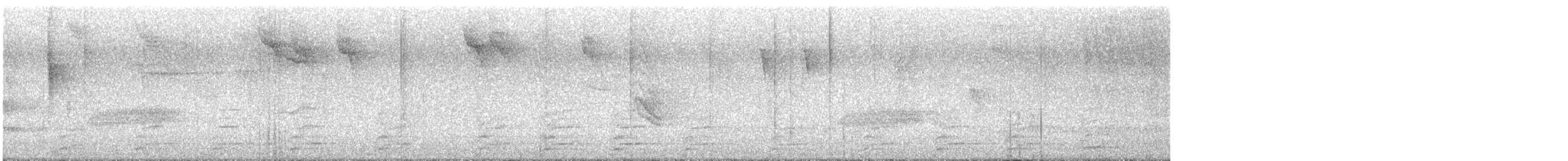 guan chocholatý - ML647624638